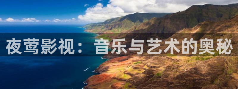 人人免费看视频